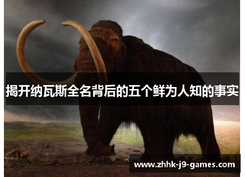 揭开纳瓦斯全名背后的五个鲜为人知的事实